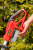 7286a85d247c1cd4fd1955f1942e79de.png